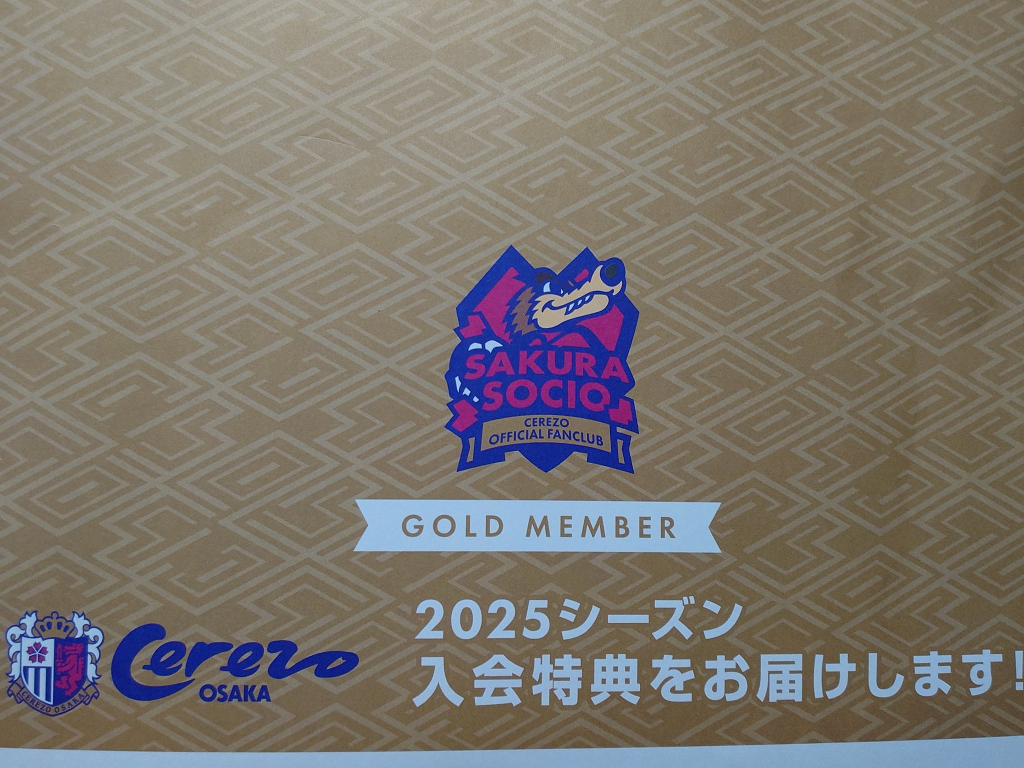 スポーツストア XLOV 証明写真 対面サイン会特典 현 ヒョン アイドル