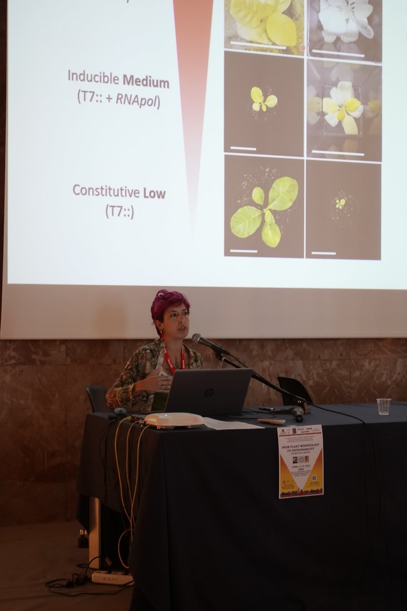 I had the incredible honour to open the conference of the Italian Botanical Society (SBI)  at the university where I started 16 long years ago invited by my mentor and who made my career possible Mario De Tullio