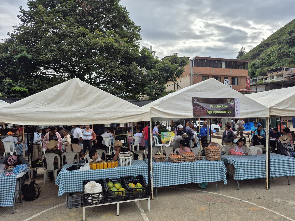 edwvargvivas's tweet photo. @SENA_Cauca ya se encuentra en #Argelia dando inicio a la feria   Sembradores de Paz, un escenario de fiesta, paz y  honra a la población víctima del conflicto armado, resiliente y emprendedora https://t.co/A9D0iPQ4hf