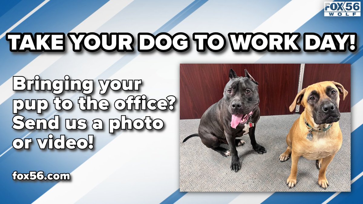 FOX56 NEWS WOLF-TV tweet media