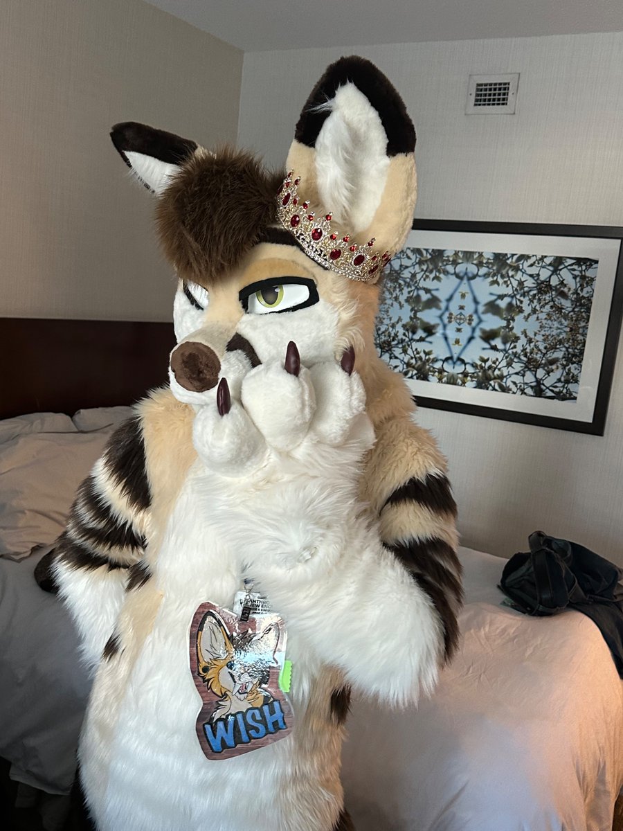Happy 26th to the love of my life. You are my everything &lt;3 I hope you have a fantastic day <a href="/WishDaFennec/">✨ Wish ✨</a>