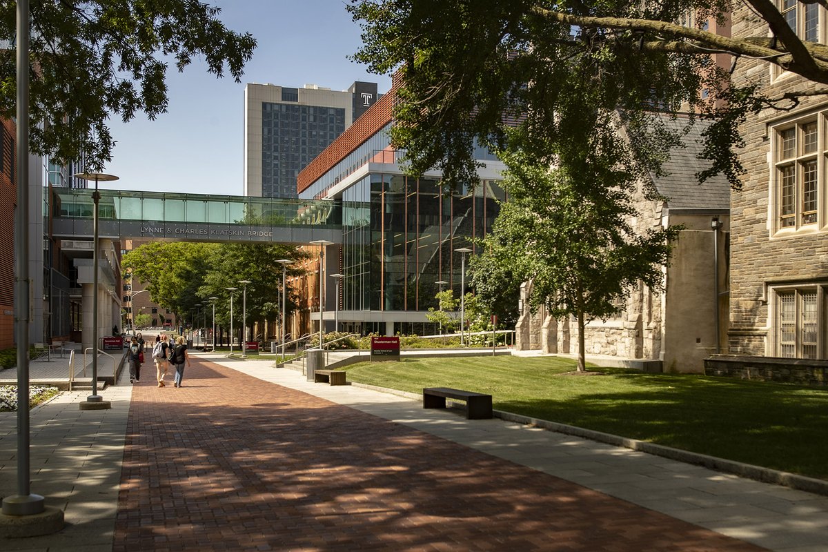Happy First Day of Summer, Owls! 🦉🌞
