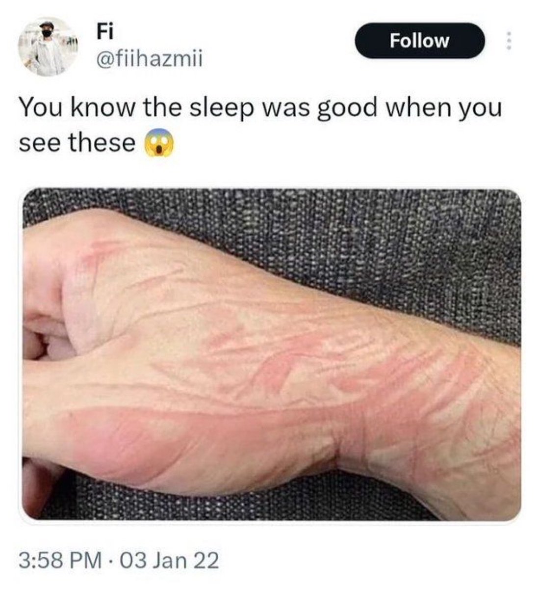 NoContextHumans's tweet image. 