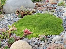 Sade02561652's tweet photo. System override: TOUCH GRASS🌿🔛 #openseatouchgrass https://t.co/tzK24OOVCX