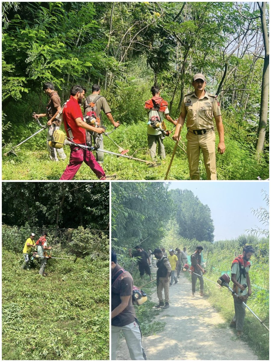 Awantipora Police, in Collaboration with Excise Department, Launches Joint Anti-Cannabis Drive in Reshipora Awantipora. <a href="/JmuKmrPolice/">J&K Police</a> <a href="/KashmirPolice/">Kashmir Zone Police</a> <a href="/DigSkr/">DIG, South Kashmir Range</a>