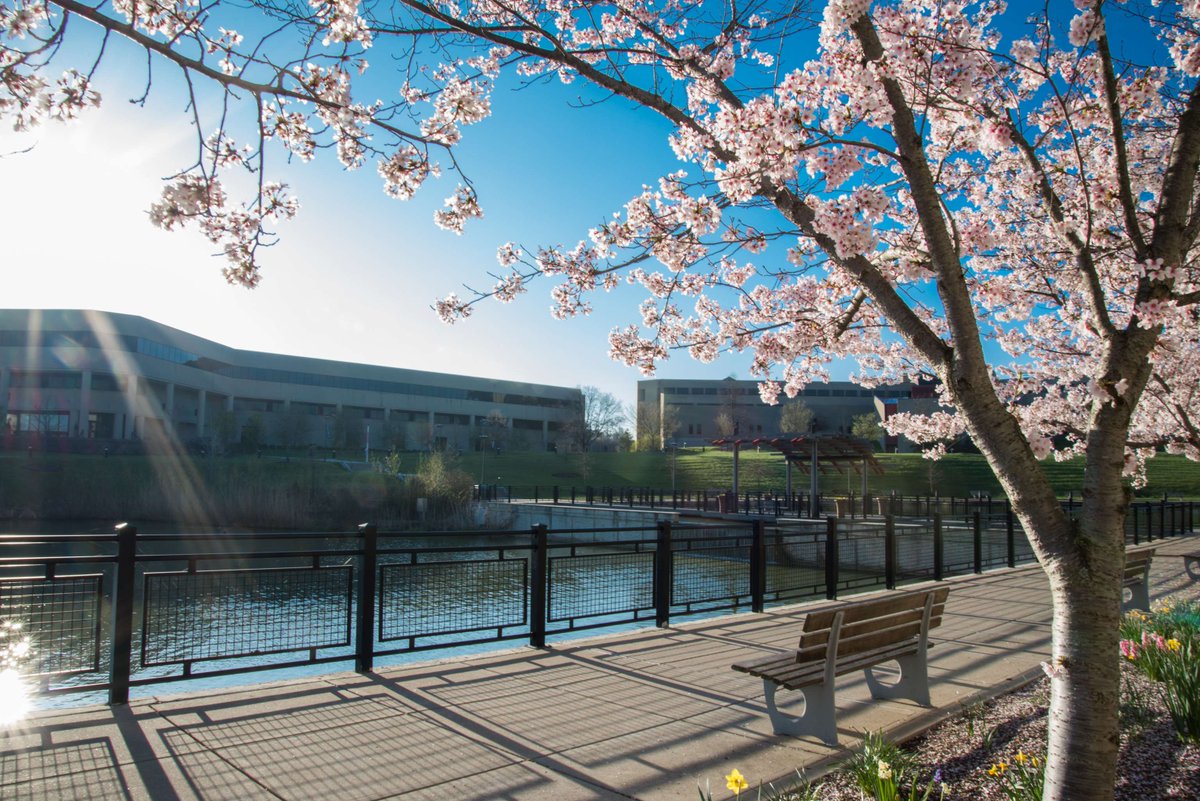 Stay golden, Norse ☀️

Enjoy the first and longest day of summer!

#NorseUp #SummerSolstice