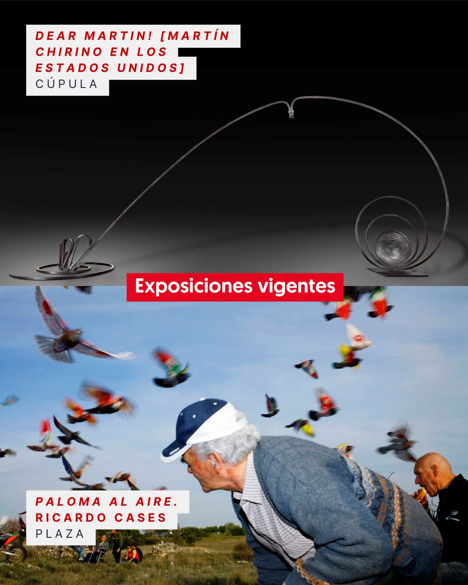 🖼️ Este fin de semana, el Centro Niemeyer te espera con dos exposiciones:
✨ «DEAR MARTIN!» – El vínculo de Martín Chirino con EE. UU.
🕊️ «Paloma al aire», de Ricardo Cases – Una mirada única a la colombicultura.

📅 ¡Vive el arte este finde en el Niemeyer!
#CentroNiemeyer