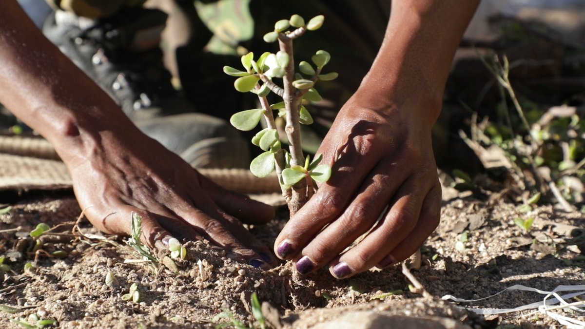 UN Partnership for Action on Green Economy (@_un_page) on Twitter photo ๐ฝ๏ธ Food systems drive 1/3 of global GHG emissions and 70% of freshwater use. Transforming them is key to #ClimateAction. Smart finance is how we get there.ย 
ย #PAGEDCODialogue explored the role of finance in transforming food systems to deliver on ย #SDGs : f.mtr.cool/mtiyarjnvh ๐ฝ๏ธ Food systems drive 1/3 of global GHG emissions and 70% of freshwater use. Transforming them is key to #ClimateAction. Smart finance is how we get there.ย 
ย #PAGEDCODialogue explored the role of finance in transforming food systems to deliver on ย #SDGs : f.mtr.cool/mtiyarjnvh
