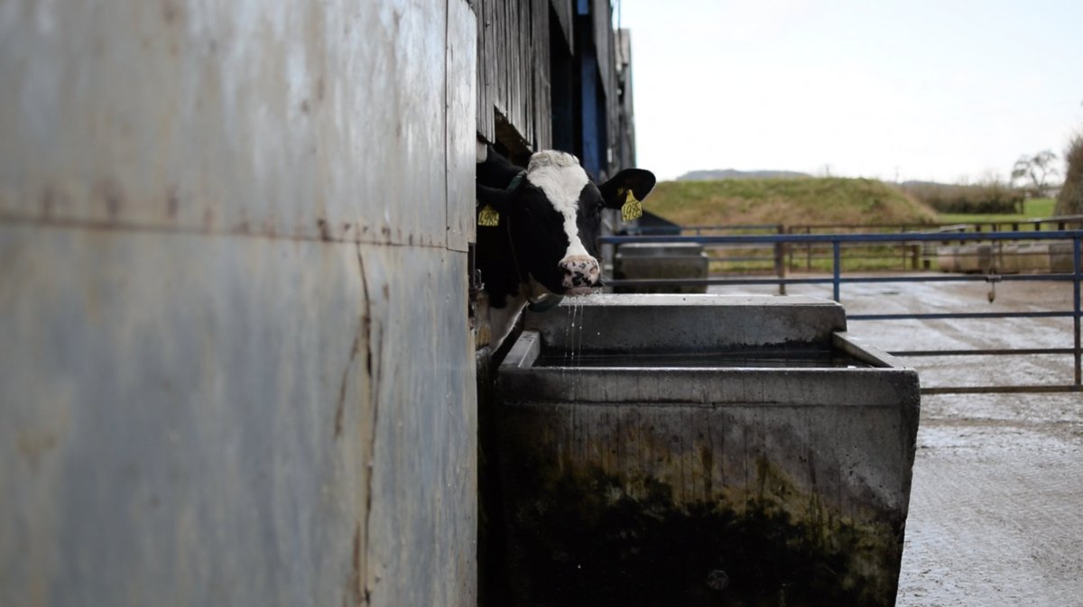 Get in on the action with Feedlync! Elevate your feeding accuracy by 4% and see great results 🐄🚜

Email us at sales@feedlync.com for a quote