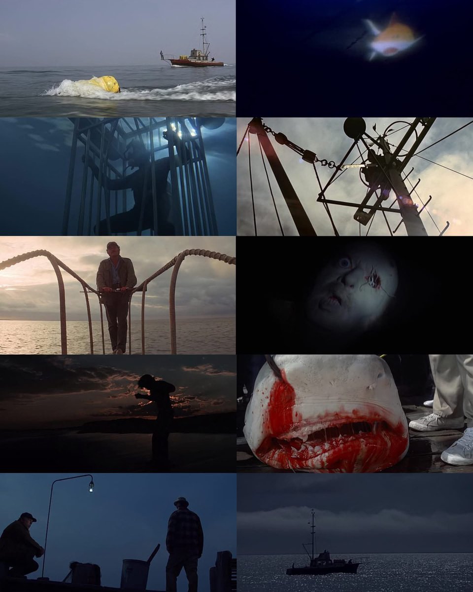 ashotmagazine's tweet photo. On this day 50 years ago, Steven Spielberg's ‘JAWS’ was released in theaters. https://t.co/ph1KJdK8KL