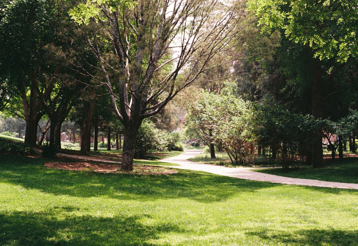 Tsinghua University (@tsinghua_uni) on Twitter photo "Two roads diverged in a wood, and I—
I took the one less traveled by, 
And that had made all the difference."
At Tsinghua, this path began.
#DiscoverTsinghua
📷 Wang Zhong "Two roads diverged in a wood, and I—
I took the one less traveled by, 
And that had made all the difference."
At Tsinghua, this path began.
#DiscoverTsinghua
📷 Wang Zhong