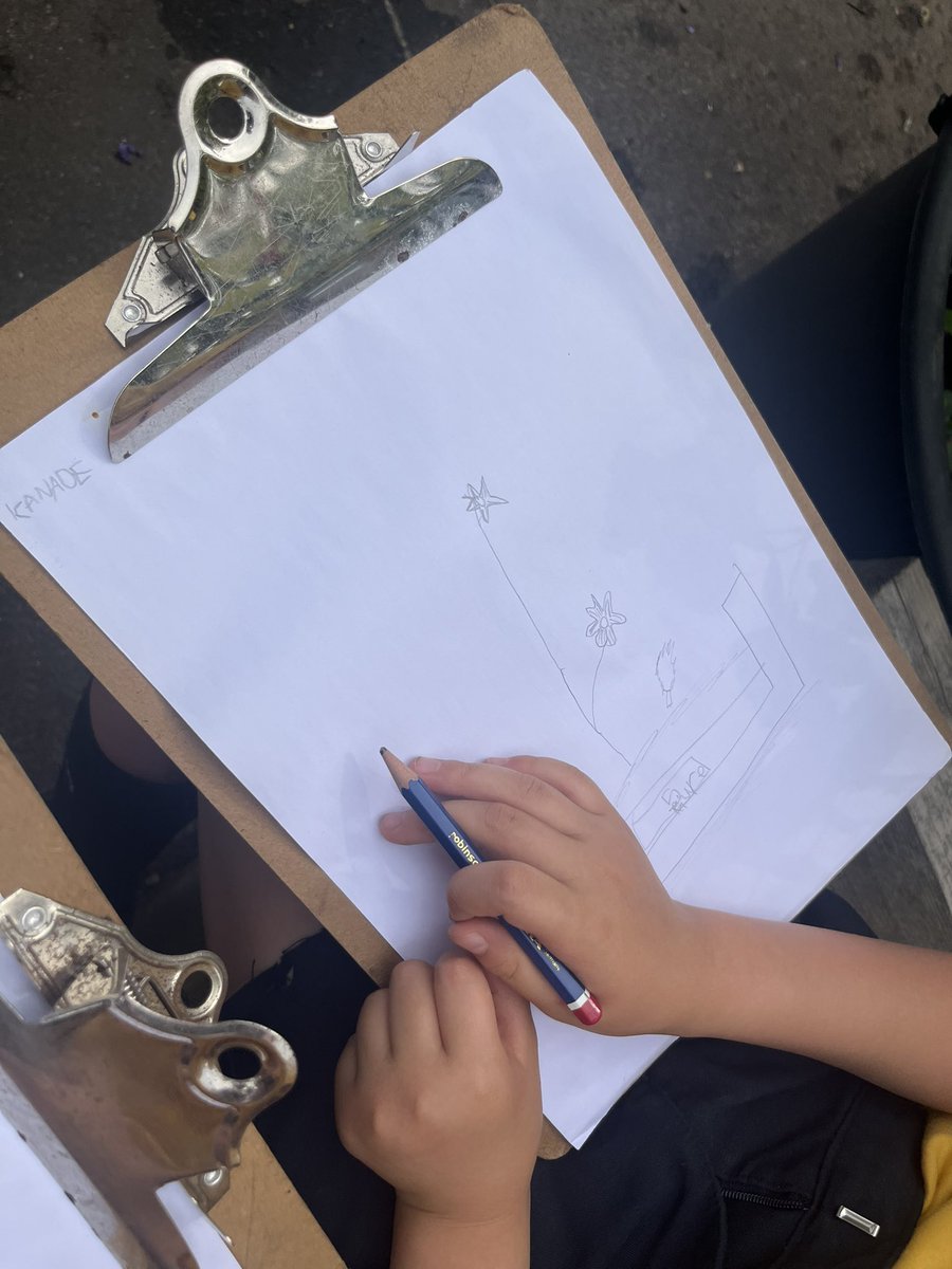 Year 1 enjoyed exploring in the kitchen garden and drawing from observation. #outdoorlearning #art 🌷 🧑‍🎨