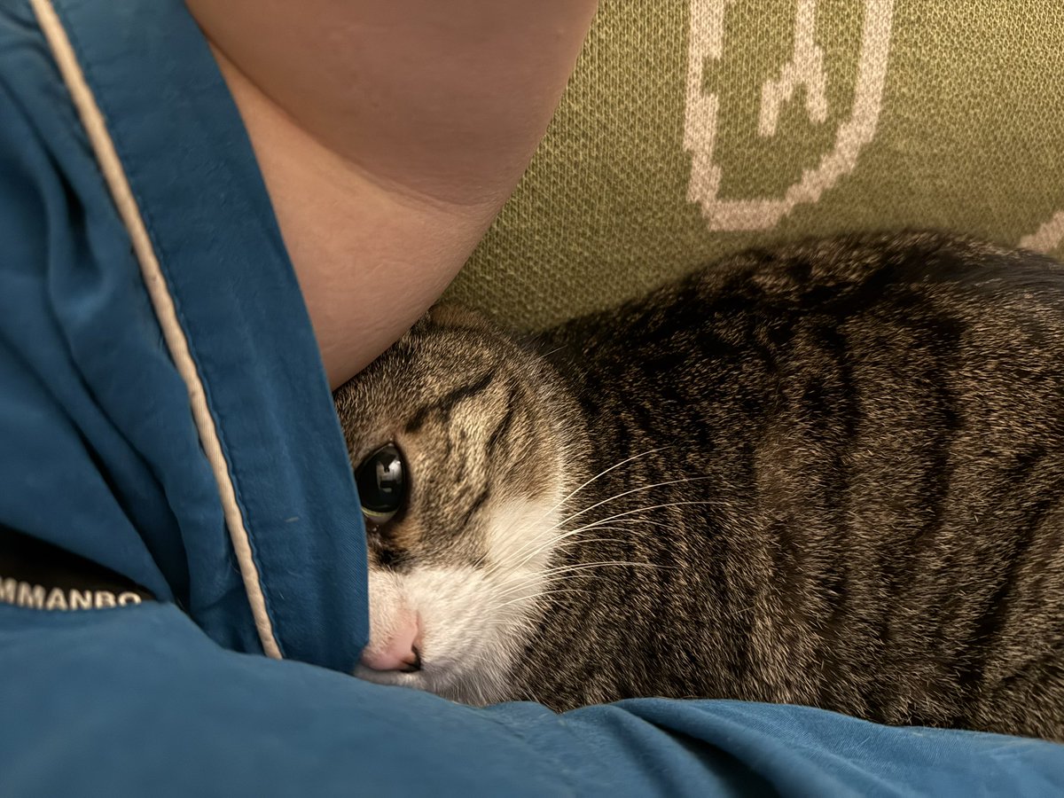 어리광 맥스됨
신종 소매넣기 스킬