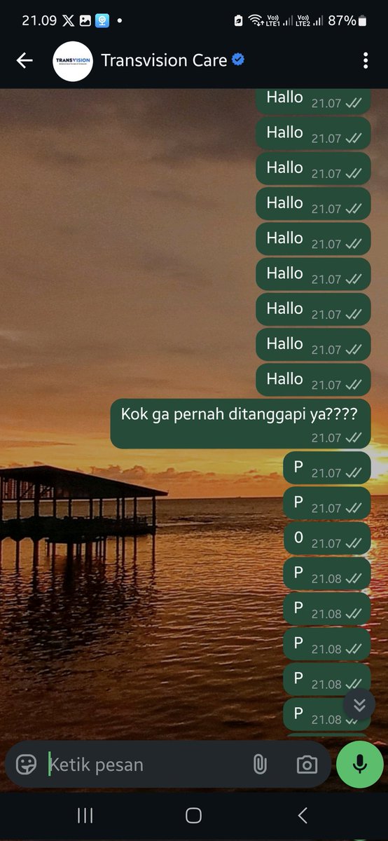 Grey Cat tweet media