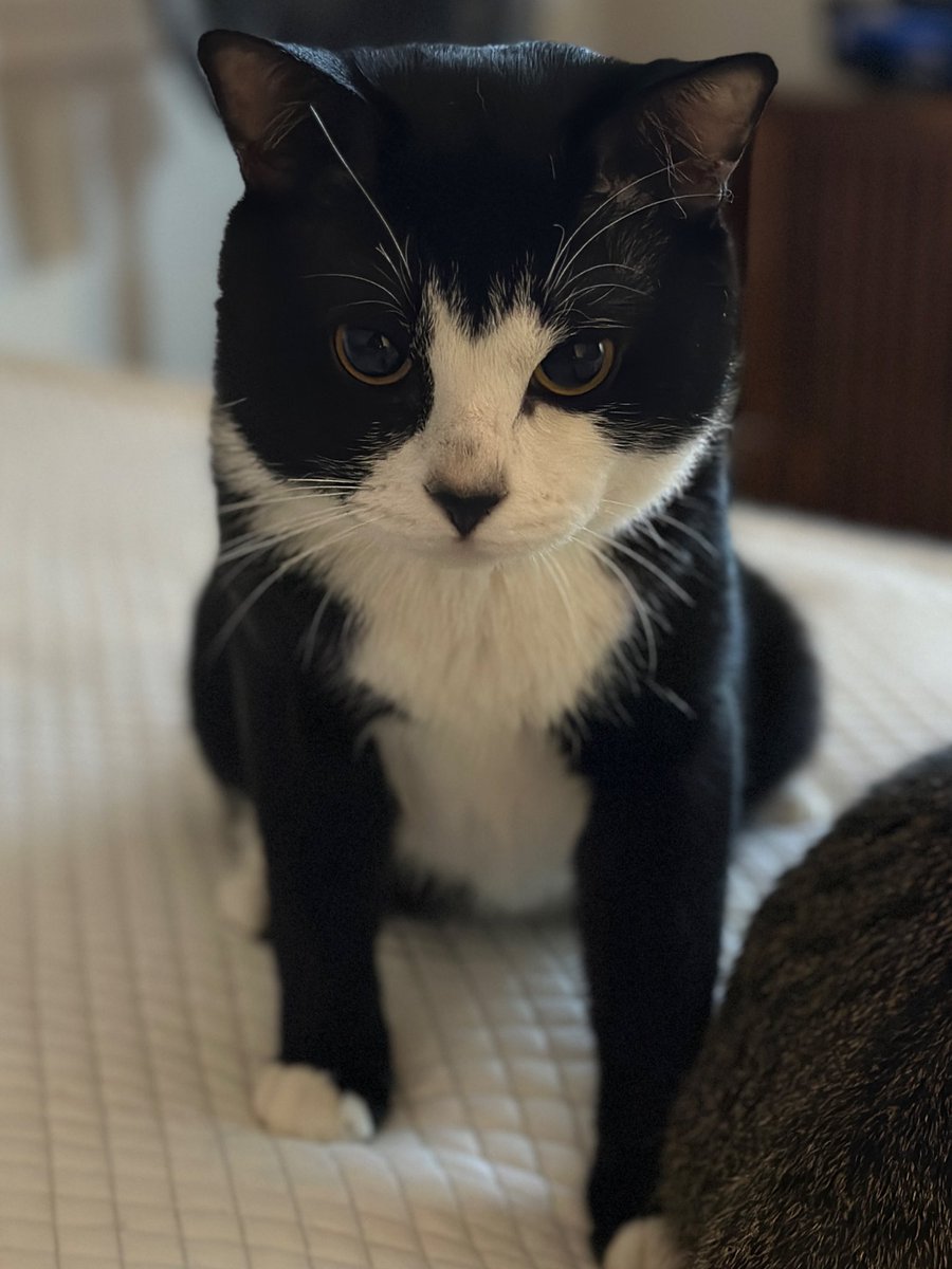 따봉근황
반항기ㅎㅎ