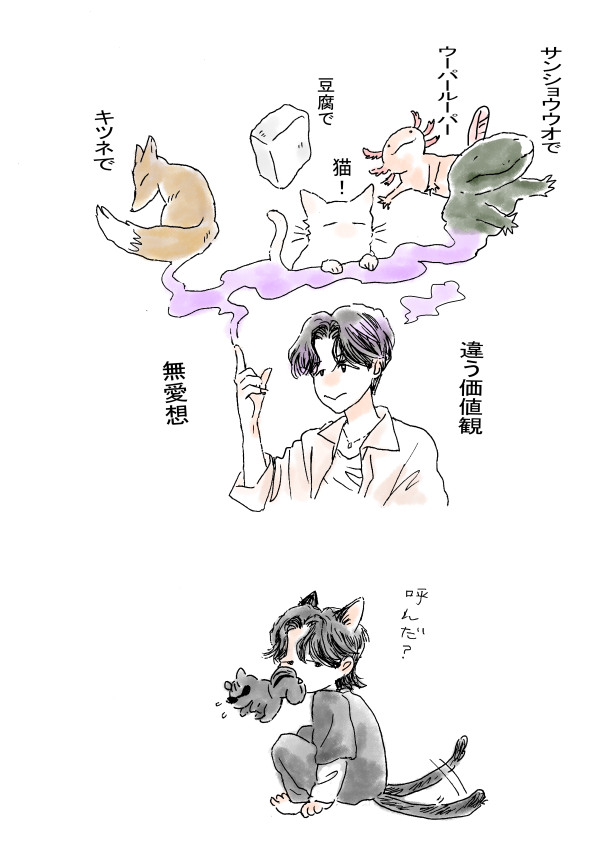toya12_kp's tweet image. 🐱🐿️