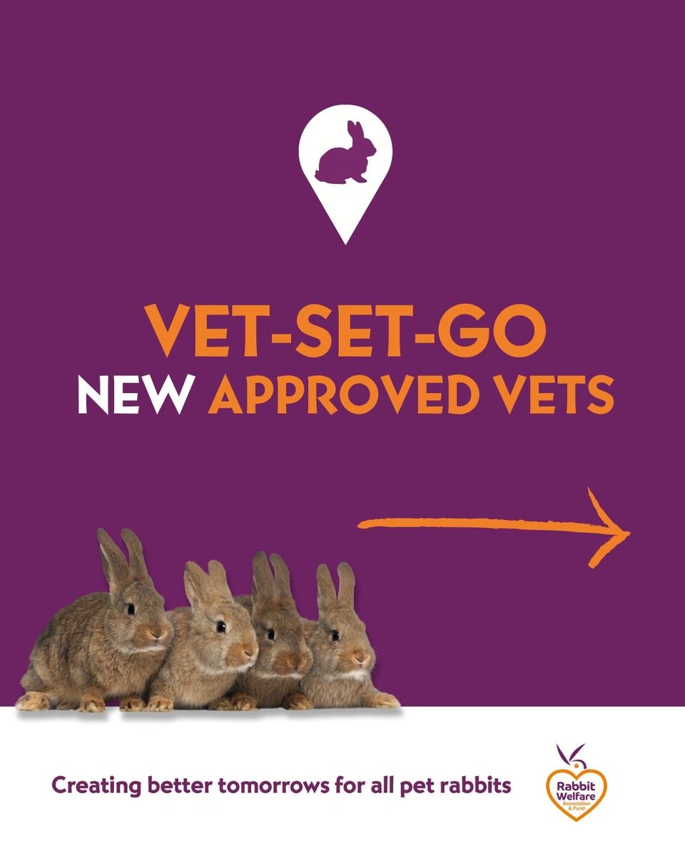 RabbitRWAF's tweet image. A warm welcome to all the new vets who have become members of our Recommended Rabbit-Friendly Vets Directory 👏🐰
If you think your vet is rabbit savvy, then why not tell them about us & encourage them to apply to be included in our directory -
rabbitwelfare.co.uk/make-your-prac…
