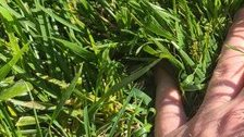#openseatouchgrass