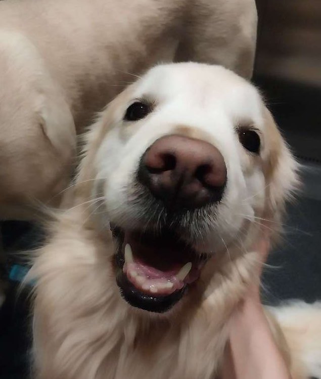 Its Friday!! 🎉🥳 Have a fun weekend, frens!