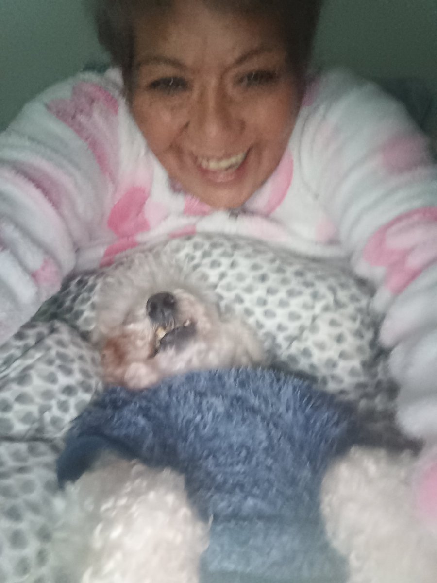 PattyLagos2's tweet photo. #contigoenlamañana  Amo a mi Marcianito el es tiktokero #Marcinitodelamamá. Saludos desde Curicó, el ve todo el día Chv https://t.co/5jUkMTT9Ck