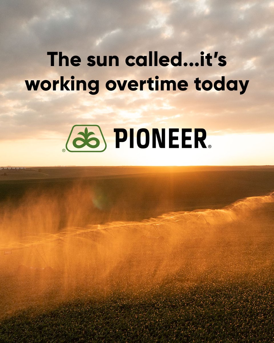 Here’s to the longest day of the year and the start of a strong summer season! 🌞 
#PlantPioneer #SummerSolstice