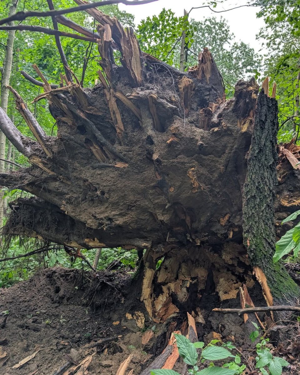 We’re now at 98% restoration, and crews are focused on restoring service to the remaining 950 customers by 11 PM tonight.
At this stage, most remaining outages affect just a few customers at a time. While crews continue to work quickly and safely, restoration moves a bit slower
