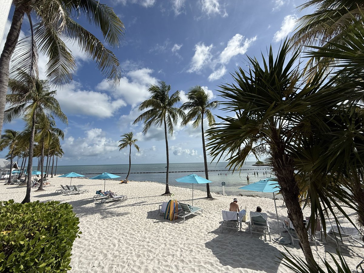 GM from Tranquility Bay on summer solstice.