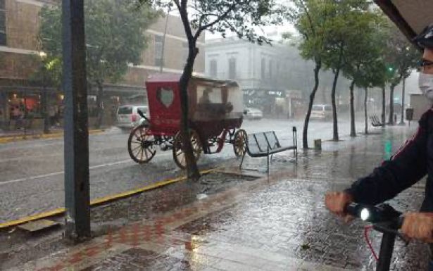 Breg 🏡 tweet media