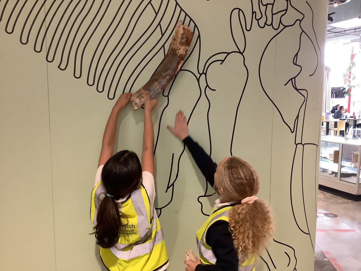 Carterhatch Junior School tweet media