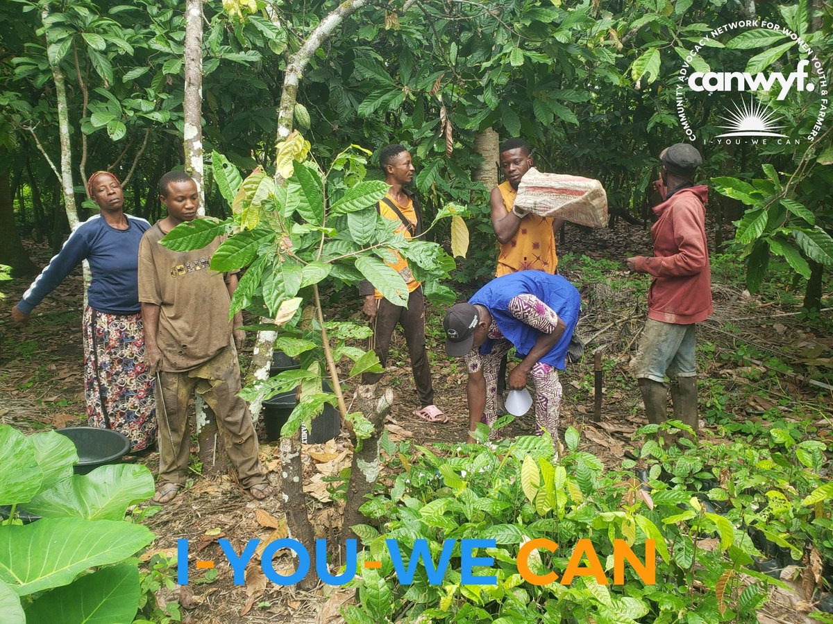 canwyf's tweet photo. From planting trees to planting hope — this milestone sets us on the path to revitalizing our deforested rural communities.
Together, I–YOU–WE CAN restore and reclaim our future.
#CANWYFImpact #GreenAfrica #AgbegisUnite #ClimateAction https://t.co/9AY38Vxrpk