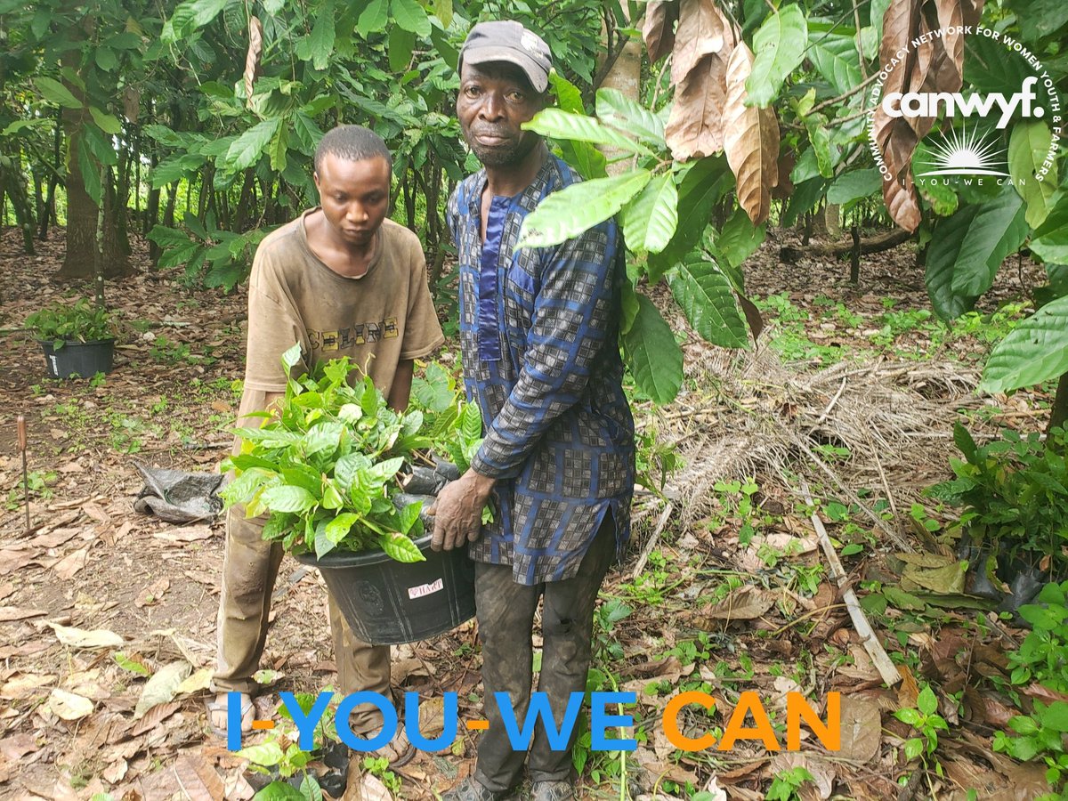 canwyf's tweet photo. From planting trees to planting hope — this milestone sets us on the path to revitalizing our deforested rural communities.
Together, I–YOU–WE CAN restore and reclaim our future.
#CANWYFImpact #GreenAfrica #AgbegisUnite #ClimateAction https://t.co/9AY38Vxrpk