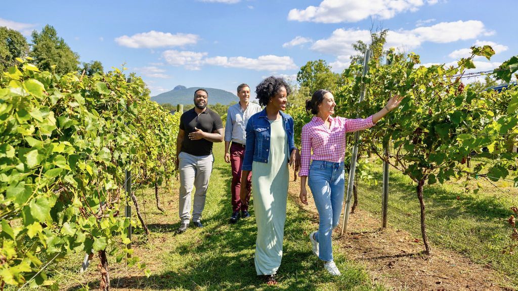 OISEAlumFriends's tweet image. 🍇 Sip, savour, celebrate! On July 17, Featherstone Estate Winery will open its doors for an unforgettable alumni and friends celebration. Join your @oiseuoft & @uoftalumni community for this special summer evening event, reserve your spot now: buff.ly/wMJdonj