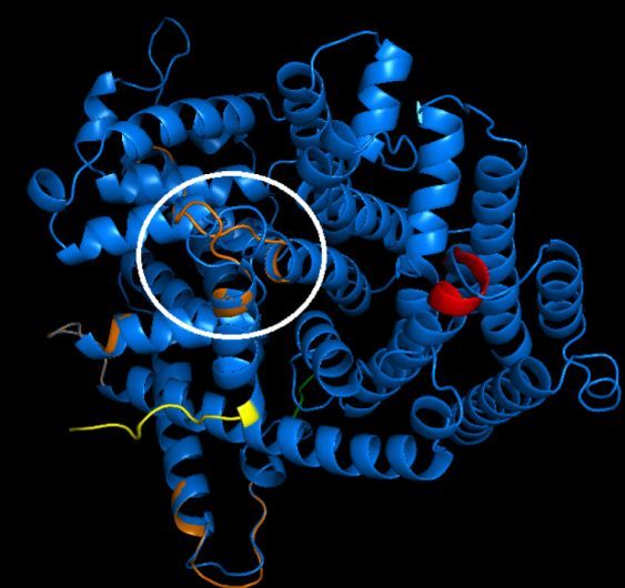 Check out this article about soybeans and their cryptic emission of isoprene! 
pnas.org/doi/10.1073/pn…