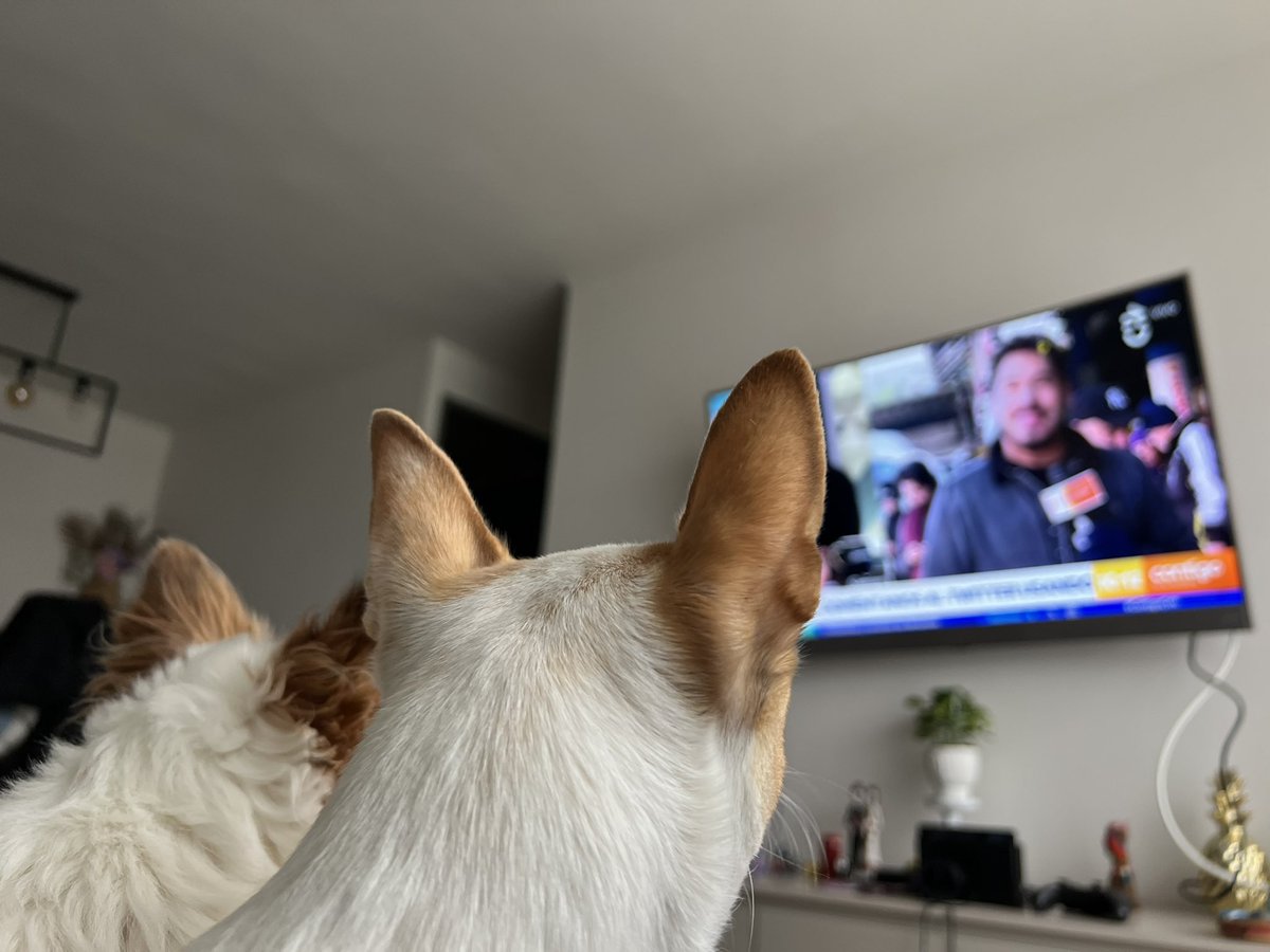 Maca Núñez tweet media