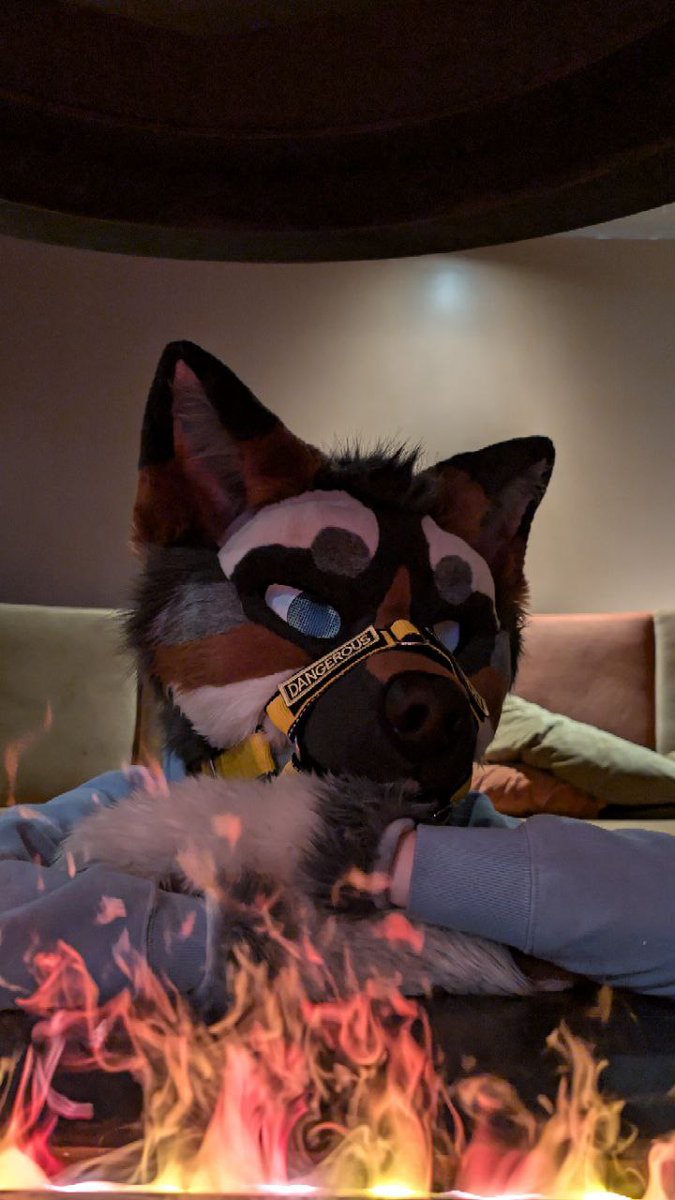 The weather be like 🔥🔥🔥 this #Fursuit