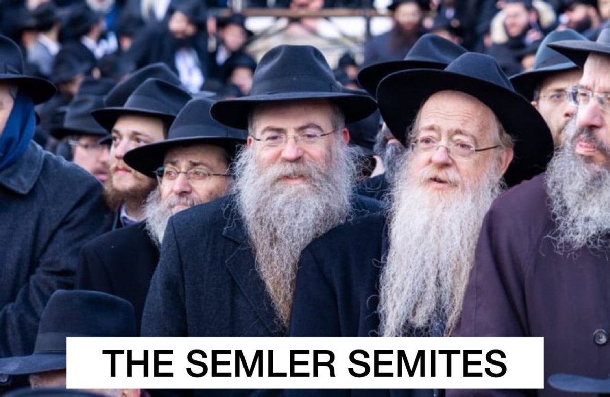 Bitcoinmaxxi's tweet photo. Remember the Semites 

#Semler $SEM #Semnation https://t.co/2DjIZDEFQ9