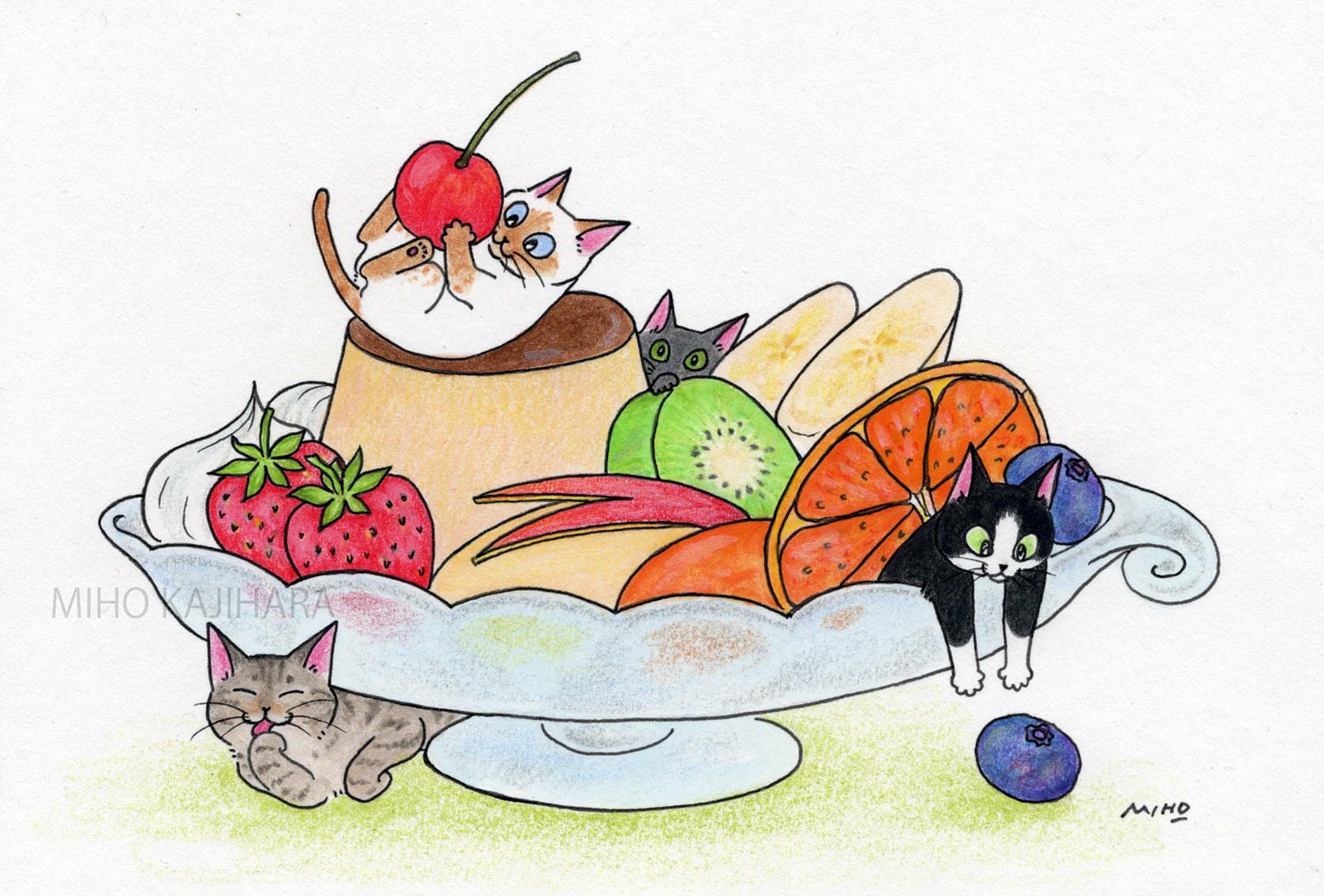 梶原美穂 猫イラスト 【太猫】