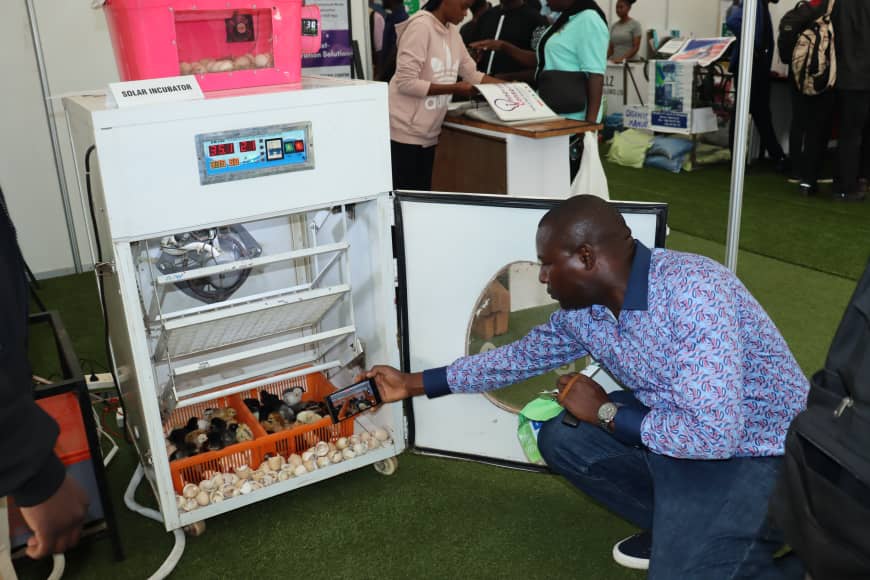 Innovug's tweet image. No one walks their talk like we do, and in grand style, we showcased our locally built, highly efficient solar powered incubators at the National science week, where they hatched live chicks in witness of exhibition attendees including the Deputy speaker of Parliament of Uganda…