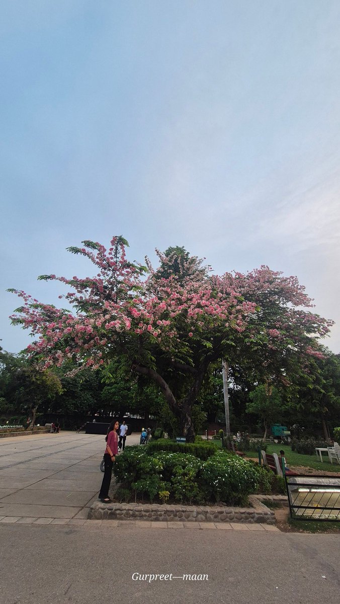 Chandigarh — The City Beautiful 😍