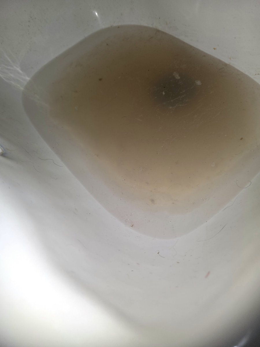 This is what happens when my neighbor showers ( they are showering now). YES it will over flow and spill on the floor.  I have been scooping water out for two days! I'm tired! Where is <a href="/NYCHA/">NYCHA</a>?! [8am-12pm 06-20-2025] UNBELIEVABLE!