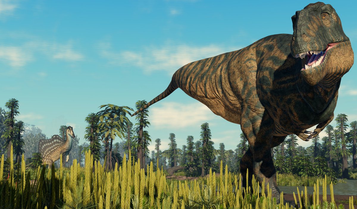 Jaco2811's tweet image. I don't think the Spinosaurus is too happy with this Carcharodontosaurus in its territory. 😅