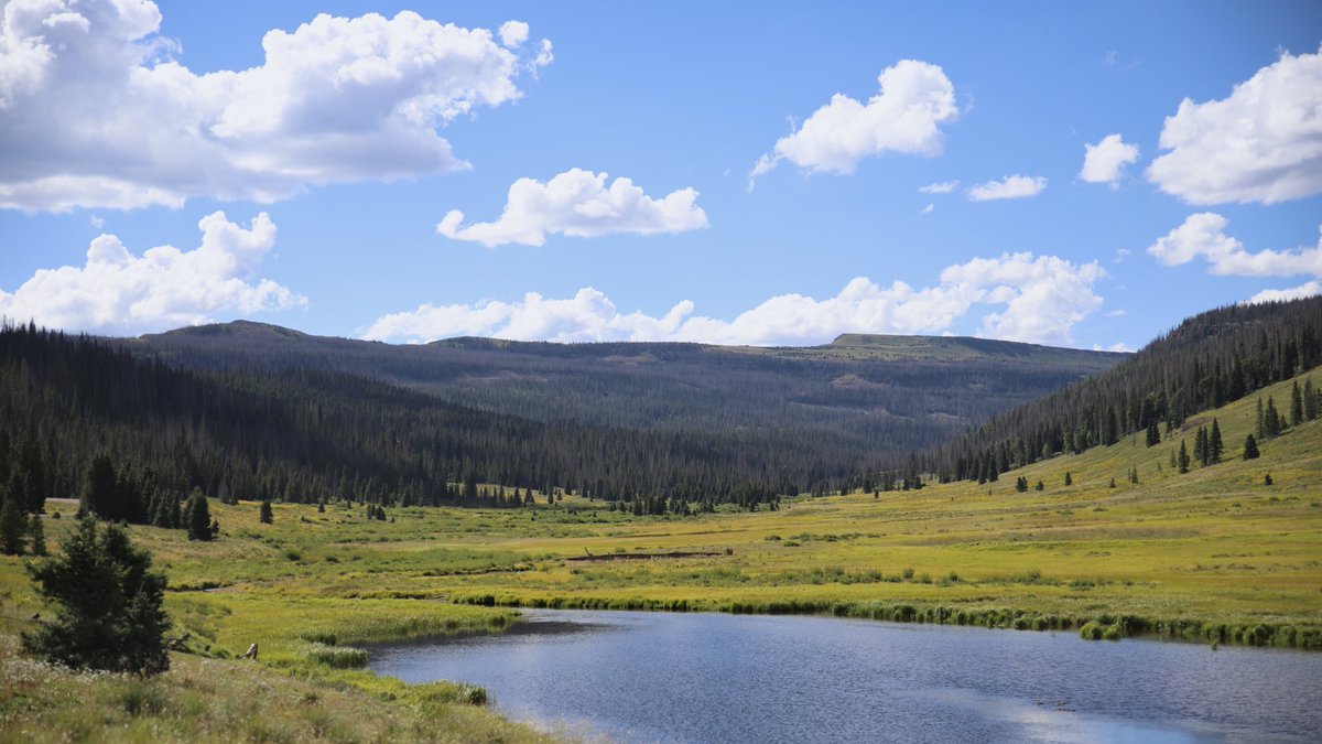 I am a Public Land Nationalist. Not only should it never be sold or partitioned off but there should be no new roads built. It should be prohibitively expensive to visit for nonAmericans &amp; I’m now convinced Americans must EARN the right to visit. Too many people don’t deserve it.