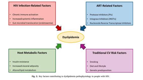 💢Dyslipidemia and statin use in people with HIV-1 infection: beyond the lipid-lowering effect

✍️ El tratamiento con estatinas puede alterar los subgrupos de linfocitos
✍️Se necesitan objetivos de c-LDL específicos para el #VIH
nmcd-journal.com/article/S0939-…

<a href="/LipidoSeen/">LipidoSEEN</a>