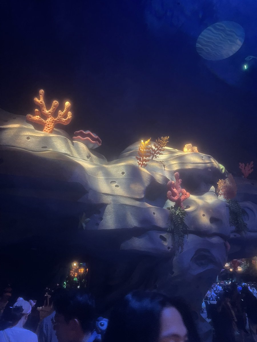 ディズニーいってきた〜〜‼️
いっぱい泣いた😼