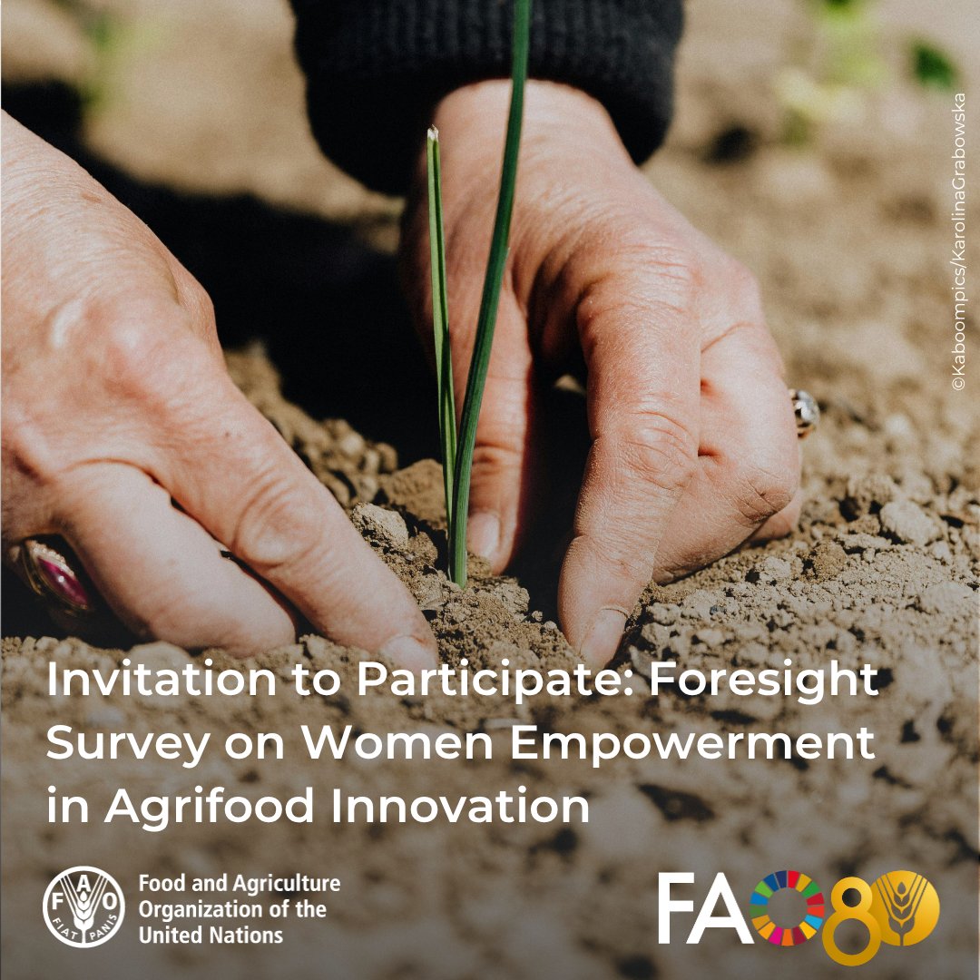 Take Part in <a href="/FAO/">Food and Agriculture Organization</a>’s Gender #Foresight Surveys &amp; Help shape a more inclusive future in agrifood innovation

🔗fao.org/e-agriculture/…

🕒 ~15 min per survey 
📅 Deadline: 25 June 2025
#GenderEquality #AgInnovation