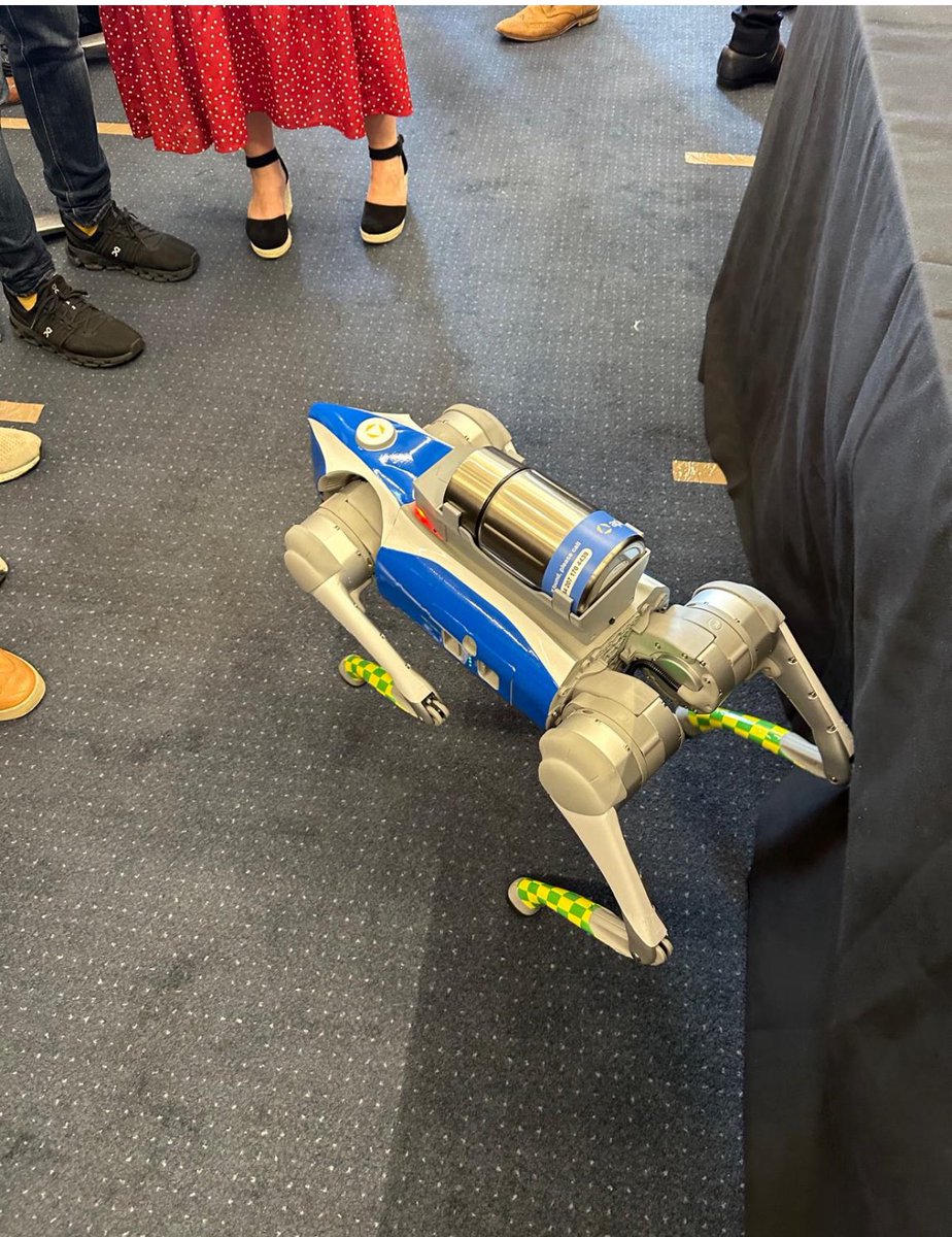 Temi Magg tweet media