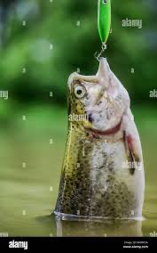 arda (@ss3sage) on Twitter photo 