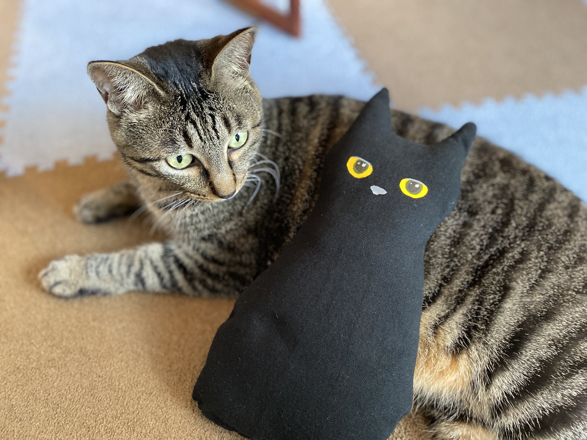 猫雑貨店＊ALFRED (@alfred_kyoto) / X