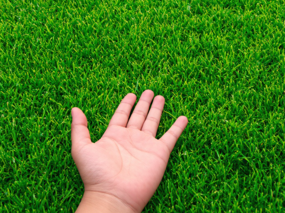 btc2010633's tweet photo. #openseatouchgrass HH https://t.co/uZ7BtuzGcD