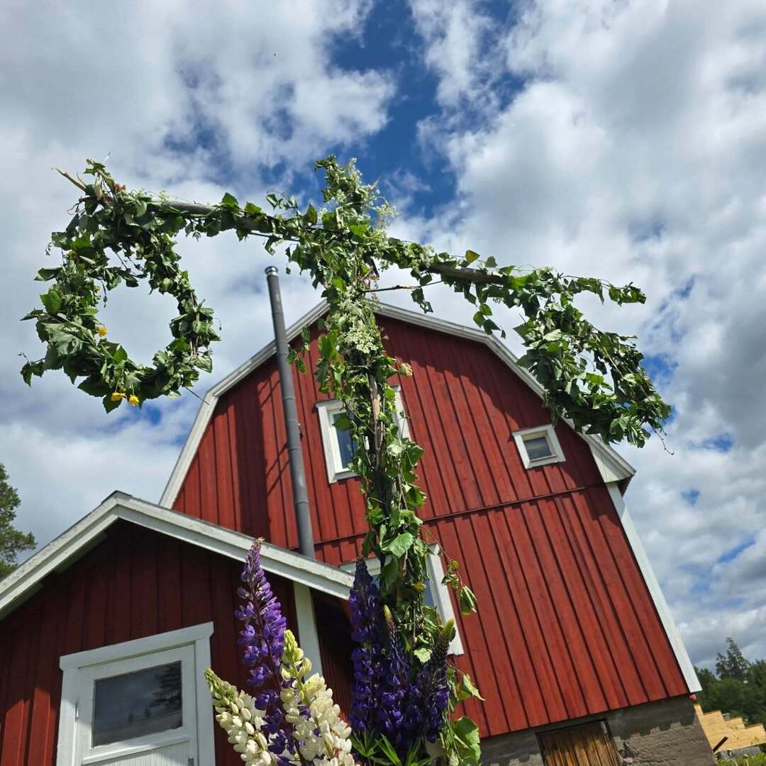 tohell42's tweet image. Midsommar i Dalarna - never heard of.

#midsommar2025 instagr.am/p/DLIDjiCICLl/